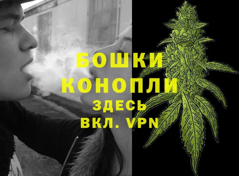 хочу   Ершов  Каннабис OG Kush 